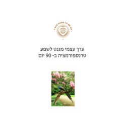 תוכנית ליווי קבוצתית בזום- ערך עצמי מגנט לשפע טרנספורמציה ב- 90 יום