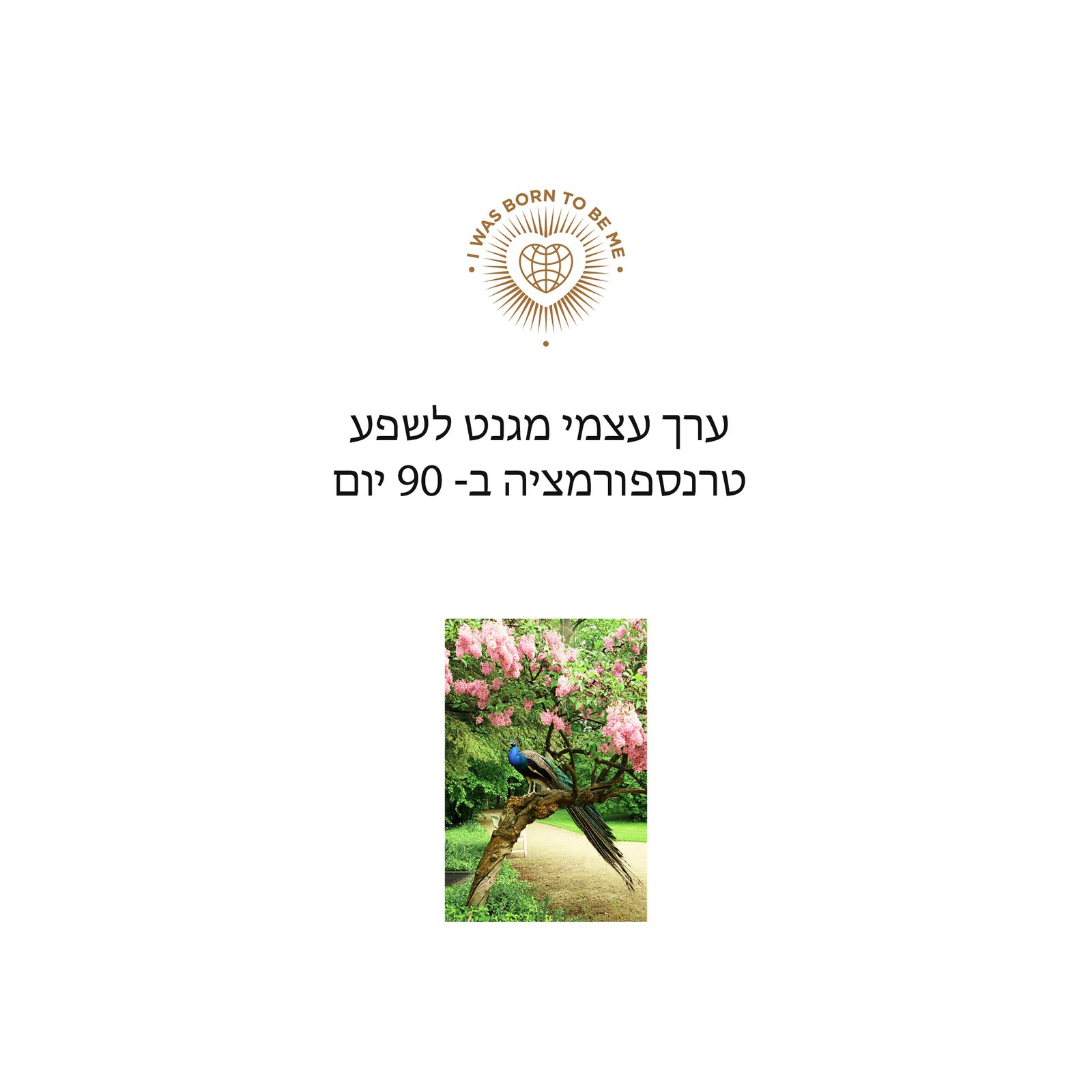 תוכנית ליווי קבוצתית בזום- ערך עצמי מגנט לשפע טרנספורמציה ב- 90 יום
